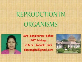 REPRODCTION IN
ORGANISMS
Mrs Sangitarani Sahoo
PGT biology
J.N.V. Konark, Puri
dpssangita@gmail.com
 