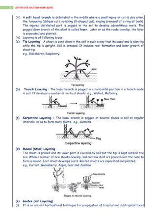 Reproduction In Organisms.pdf