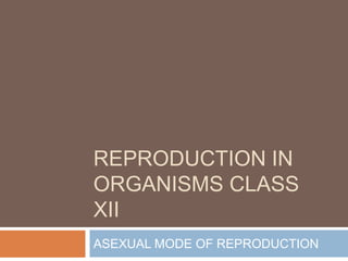 REPRODUCTION IN OR GANISMS CLASS XII.ppt