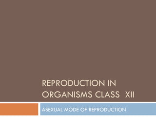 REPRODUCTION IN ORGANISMS CLASS XII and Class X | PPT