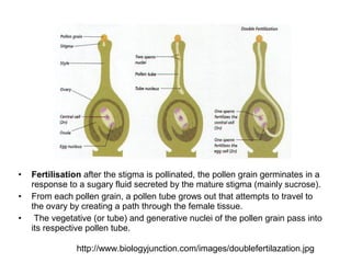 Reproduction in plants | PPT