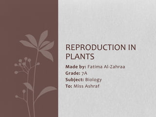 Made by: Fatima Al-Zahraa
Grade: 7A
Subject: Biology
To: Miss Ashraf
REPRODUCTION IN
PLANTS
 
