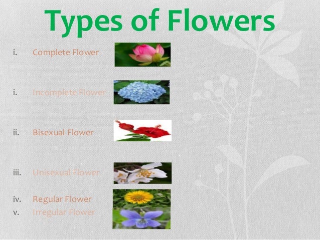 Reproduction in plants, biology, IG Reproduction in plants, biology, IG