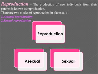 Production Reproduction Reproduction in plants: A Short Description | PPT