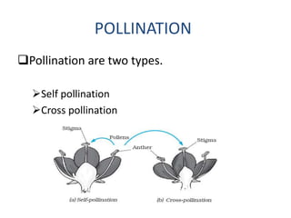 POLLINATION
Pollination are two types.
Self pollination
Cross pollination
 