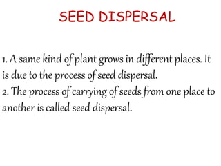 1. A same kind of plant grows in different places. It
is due to the process of seed dispersal.
2. The process of carrying of seeds from one place to
another is called seed dispersal.
SEED DISPERSAL
 