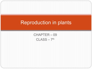CHAPTER – 09
CLASS – 7th
Reproduction in plants
 