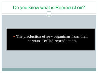 Do you know what is Reproduction?
 The production of new organisms from their
parents is called reproduction.
 