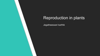 Reproduction in plants
Jegatheeswari karthik
 