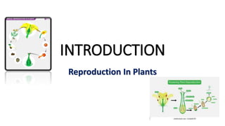 INTRODUCTION
Reproduction In Plants
 
