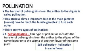 Reproduction in plants | PPTX