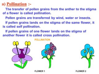 reproduction in plants..pdf