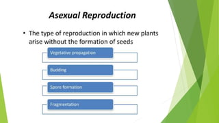Reproduction in Plants.pptx