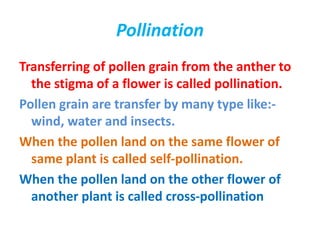 chapter= 12 Reproduction in plants .ppt