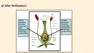 REPRODUCTION IN PLANTS.pptx- Including structure of flowers and the ...