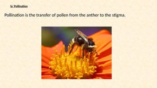 REPRODUCTION IN PLANTS.pptx- Including structure of flowers and the ...