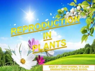 Reproduction in plants by Chavi Sharma
