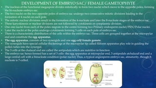 • The nucleus of the functional megaspore divides mitotically to form two nuclei which move to the opposite poles, forming
the bi-nucleate embryo sac.
• The two nuclei on the two opposite poles of embryo sac undergo two consecutive mitotic divisions leading to the
formation of 4 nuclei on each pole.
• The mitotic nuclear divisions result in the formation of the 4-nucleate and later the 8-nucleate stages of the embryo sac.
• These karyokinesis or nuclear divisions are not followed by cytokinesis or cytoplasmic division.
• One one nuclei from each of the poles migrate to the centre forming two Primary endosperm nuclei/PEN/Polar nuclei.
• Later the nuclei at the poles undergo cytokinesis forming 3 cells on each pole of embryo sac.
• There is a characteristic distribution of the cells within the embryo sac. Three cells are grouped together at the micropylar
end and constitute the egg apparatus.
• The egg apparatus, consists of two synergids and one egg cell/ female gamete.
• The synergids have special cellular thickenings at the micropylar tip called filiform apparatus play role in guiding the
pollen tubes into the synergid.
• The 3 cells at the chalazal end are called the antipodals which are nutritive in function.
• The embryo sac hence formed has a set of 3 cells- the egg apparatus at micropylar end, 3 antipodals atchalazal end and a
large central cell with a binucleate condition (polar nuclei) Thus, a typical angiosperm embryo sac, atmaturity, though 8-
nucleate is 7-celled.
DEVELOPMENT OF EMBRYO SAC/ FEMALE GAMETOPHYTE
 