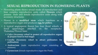 SEXUAL REPRODUCTION IN FLOWERING PLANTS
• Flowering plants shows sexual mode of reproduction and
bear complex reproductive units called Flowers which
possess male and female reproductive units along with
accessory structures.
• Flower is a modified stem which functions as a
reproductive organ and produces egg /or pollen.
• A typical angiosperm flower has four floral whorls or
floral appendages attached on the receptacle/
Thalamus/Flower base:
 Calyx (Accessory whorl to protect all reproductive organs
& prepare food in bud stage)
 Corolla (Accessory whorl to attract pollinators for
pollination)
 Androecium (male reproductive organ consisting of
stamens)
 Gynoecium (female reproductive organ the Pistil) .
 