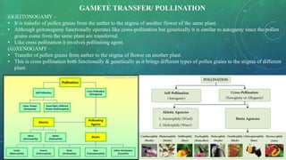 ii)GEITONOGAMY –
• It is transfer of pollen grains from the anther to the stigma of another flower of the same plant.
• Although geitonogamy functionally operates like cross-pollination but genetically it is similar to autogamy since the pollen
grains come from the same plant are transferred.
• Like cross pollination it involves pollinating agent.
(iii)XENOGAMY –
• Transfer of pollen grains from anther to the stigma of flower on another plant.
• This is cross pollination both functionally & genetically as it brings different types of pollen grains to the stigma of different
plant.
GAMETE TRANSFER/ POLLINATION
 