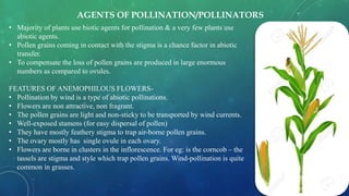 • Majority of plants use biotic agents for pollination & a very few plants use
abiotic agents.
• Pollen grains coming in contact with the stigma is a chance factor in abiotic
transfer.
• To compensate the loss of pollen grains are produced in large enormous
numbers as compared to ovules.
FEATURES OF ANEMOPHILOUS FLOWERS-
• Pollination by wind is a type of abiotic pollinations.
• Flowers are non attractive, non fragrant.
• The pollen grains are light and non-sticky to be transported by wind currents.
• Well-exposed stamens (for easy dispersal of pollen)
• They have mostly feathery stigma to trap air-borne pollen grains.
• The ovary mostly has single ovule in each ovary.
• Flowers are borne in clusters in the inflorescence. For eg: is the corncob – the
tassels are stigma and style which trap pollen grains. Wind-pollination is quite
common in grasses.
AGENTS OF POLLINATION/POLLINATORS
 