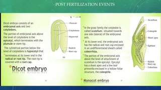 POST FERTILIZATION EVENTS
 