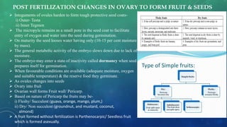  Integuments of ovules harden to form tough protective seed coats-
i) Outer- Testa
ii) Inner Tegmen
 The micropyle remains as a small pore in the seed coat to facilitate
entry of oxygen and water into the seed during germination.
 On maturity the seed looses water having only (10-15 per cent moisture
by mass).
 The general metabolic activity of the embryo slows down due to lack of
moisture.
 The embryo may enter a state of inactivity called dormancy when seed
prepares itself for germination.
 When favourable conditions are available (adequate moisture, oxygen
and suitable temperature) & the reserve food they germinate.
 As ovules changes into seeds
 Ovary into fruit
 Ovarian wall forms Fruit wall/ Pericarp.
 Based on nature of Pericarp the fruits may be-
i) Fleshy/ Succulent (guava, orange, mango, plum,)
ii) Dry/ Non succulent (groundnut, and mustard, coconut,
almond)
 A fruit formed without fertilization is Parthenocarpic/ Seedless fruit
which is formed asexually.
POST FERTILIZATION CHANGES IN OVARY TO FORM FRUIT & SEEDS
 
