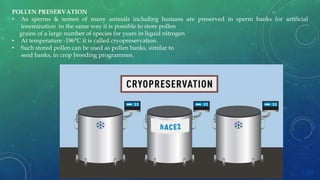 POLLEN PRESERVATION
• As sperms & semen of many animals including humans are preserved in sperm banks for artificial
insemination in the same way it is possible to store pollen
grains of a large number of species for years in liquid nitrogen
• At temperature -196°C it is called cryopreservation.
• Such stored pollen can be used as pollen banks, similar to
seed banks, in crop breeding programmes.
 