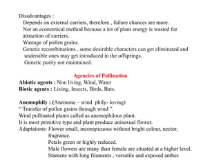 Disadvantages :
Depends on external carriers, therefore , failure chances are more.
Not an economical method because a lot of plant energy is wasted for
attraction of carriers.
Wastage of pollen grains.
Genetic recombinations , some desirable characters can get eliminated and
undersible ones may get introduced in the offsprings.
Genetic purity not maintained.
Agencies of Pollination
Abiotic agents : Non living, Wind, Water
Biotic agents : Living, Insects, Birds, Bats.
Anemophily : (Anemone – wind phily- loving)
“ Transfer of pollen grains through wind ”.
Wind pollinated plants called as anemophilous plant.
It is most primitive type and plant produce unisexual flower.
Adaptations: Flower small, inconspicuous without bright colour, nector,
fragrance.
Petals green or highly reduced.
Male flowers are many than female are situated at a higher level.
Stamens with long filaments , versatile and exposed anther.
 
