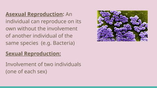 REPRODUCTION IN PLANTS ppt. class 7.pptx