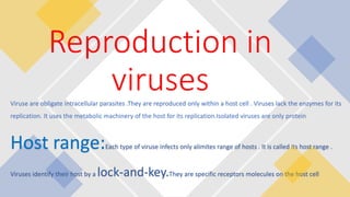 Viruse are obligate intracellular parasites .They are reproduced only within a host cell . Viruses lack the enzymes for its
replication. It uses the metabolic machinery of the host for its replication.Isolated viruses are only protein
Host range:Each type of viruse infects only alimites range of hosts . It is called its host range .
Viruses identify their host by a lock-and-key.They are specific receptors molecules on the host cell
Reproduction in
viruses
 