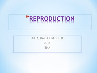 JÚLIA, DARIA and DOUAE
2015
5è A
 