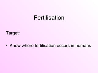 Fertilisation
Target:
• Know where fertilisation occurs in humans