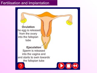 Fertilisation and Implantation