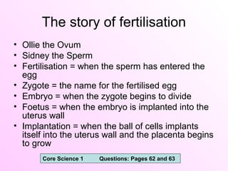 The story of fertilisation
• Ollie the Ovum
• Sidney the Sperm
• Fertilisation = when the sperm has entered the
egg
• Zygote = the name for the fertilised egg
• Embryo = when the zygote begins to divide
• Foetus = when the embryo is implanted into the
uterus wall
• Implantation = when the ball of cells implants
itself into the uterus wall and the placenta begins
to grow
Core Science 1 Questions: Pages 62 and 63