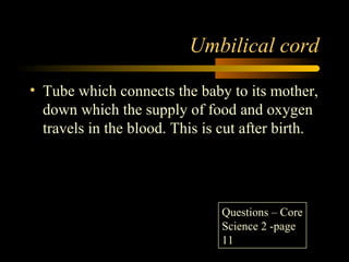 Umbilical cord
• Tube which connects the baby to its mother,
down which the supply of food and oxygen
travels in the blood. This is cut after birth.
Questions – Core
Science 2 -page
11
 