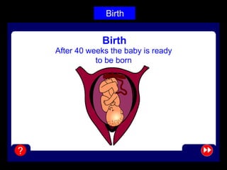 Birth
 