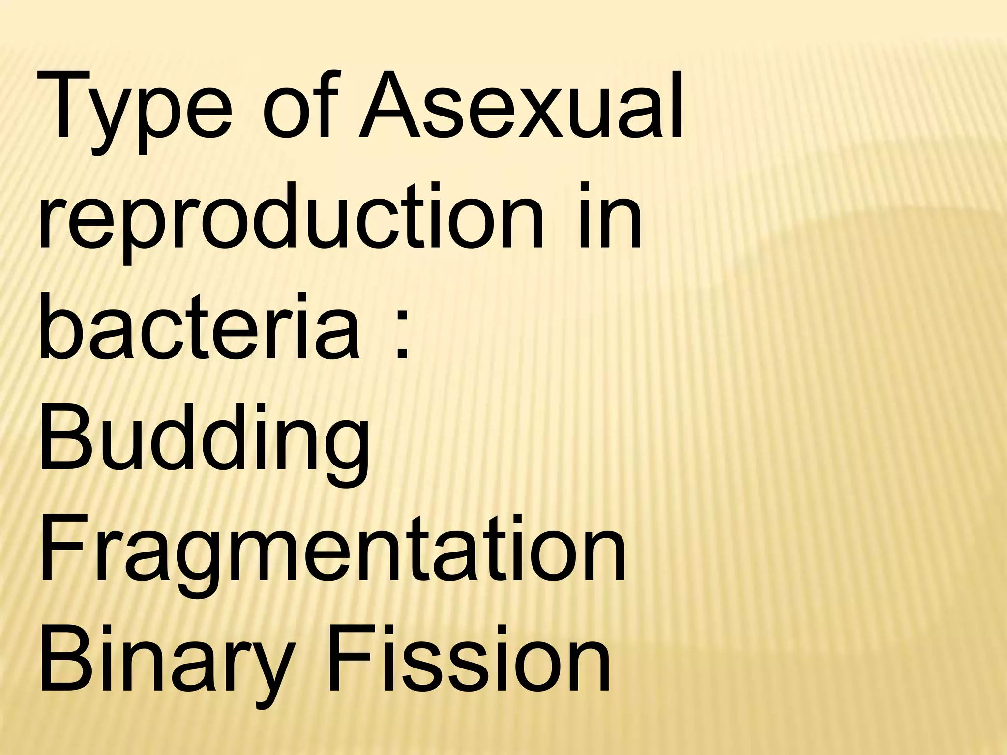 Type of Asexual
reproduction in
bacteria :
Budding
Fragmentation
Binary Fission