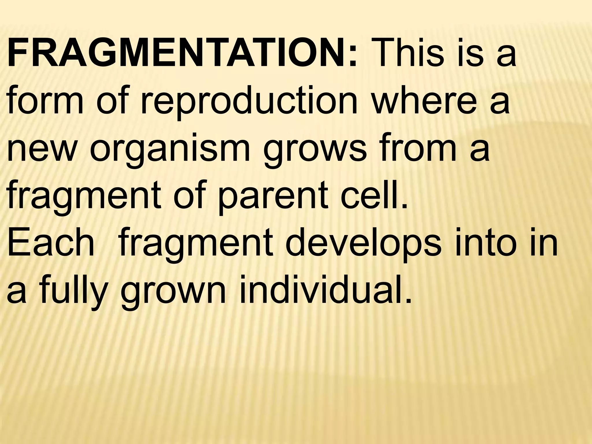 FRAGMENTATION: This is a
form of reproduction where a
new organism grows from a
fragment of parent cell.
Each fragment develops into in
a fully grown individual.