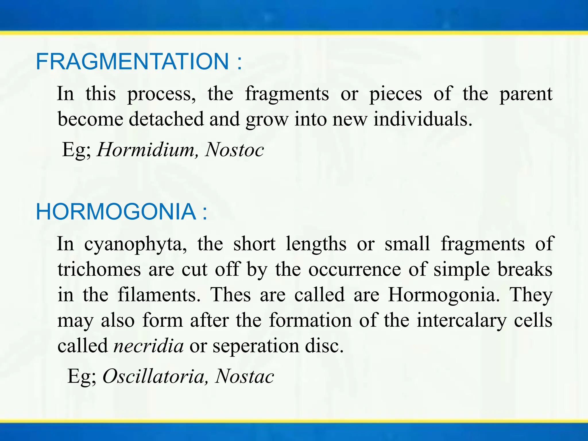 Reproduction of Algae | Vegetative, Asexual & Sexual reproduction | PPTX
