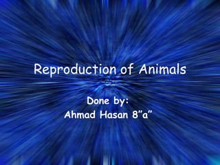 Reproduction of Animals
Done by:
Ahmad Hasan 8”a”
 