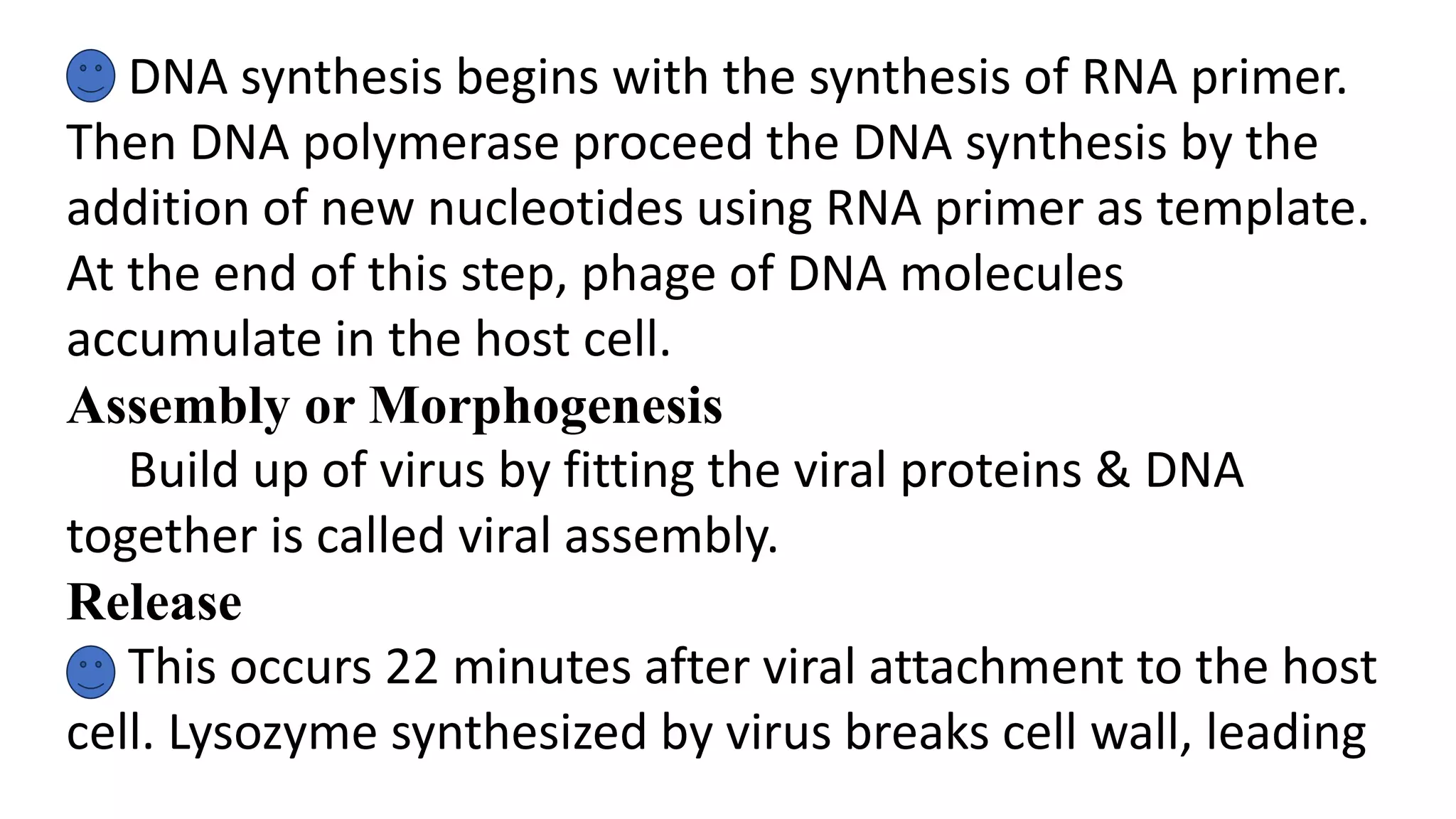 LAMBDA PHAGE AND THEIR REPRODUCTION PPTX Biological Sciences Science Lambda phage and their reproduction pptx biological sciences science