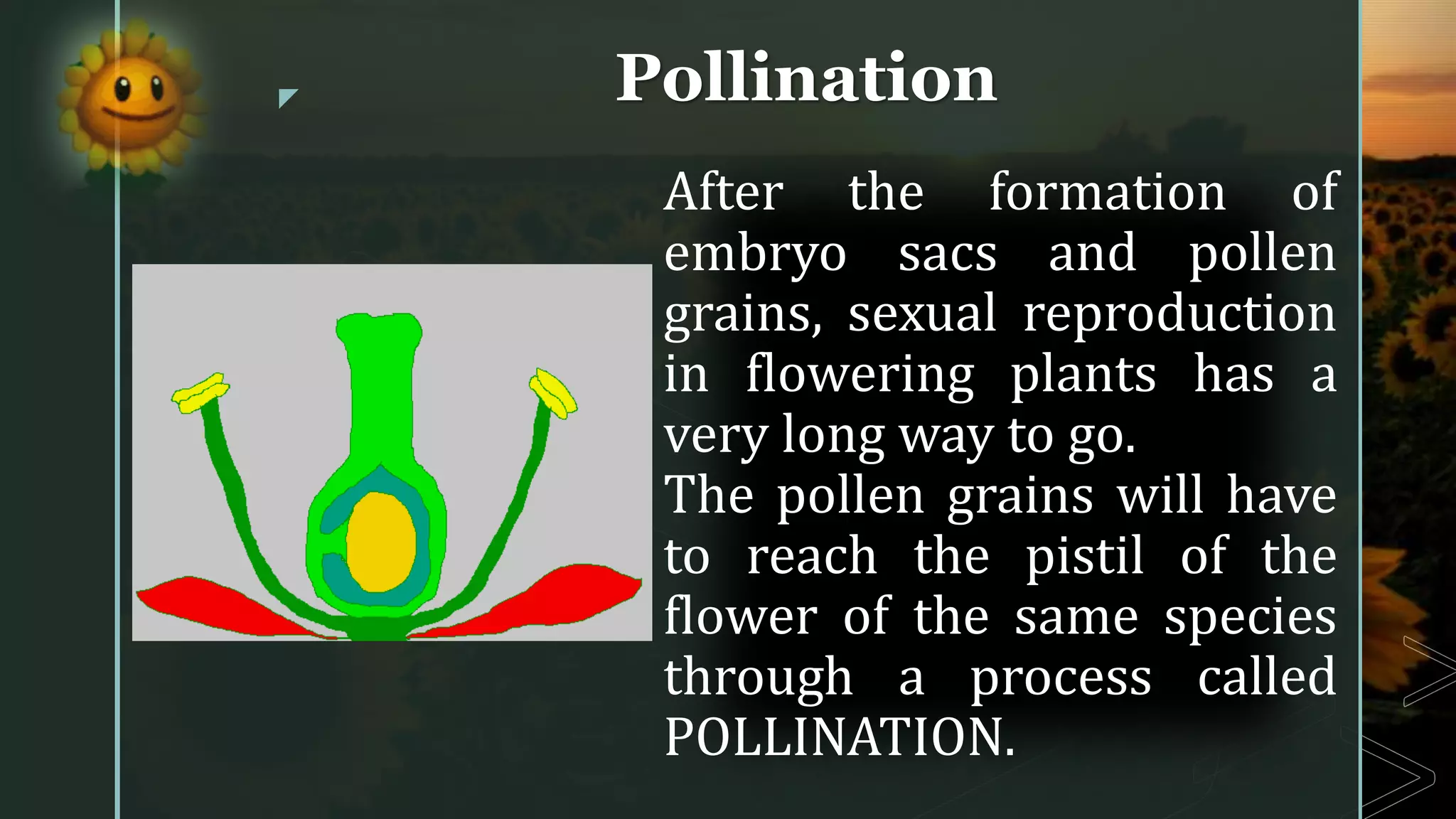 Pollen Reproduction Reproduction of plants and simple animals | PDF