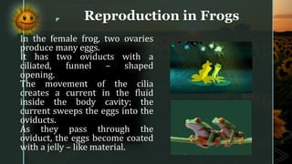 Reproduction of plants and simple animals | PDF