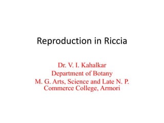 Reproduction in Riccia
Dr. V. I. Kahalkar
Department of Botany
M. G. Arts, Science and Late N. P.
Commerce College, Armori
 