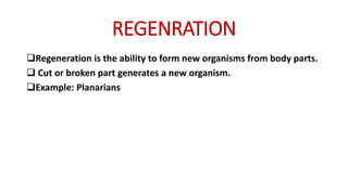 REGENRATION
Regeneration is the ability to form new organisms from body parts.
 Cut or broken part generates a new organism.
Example: Planarians
 