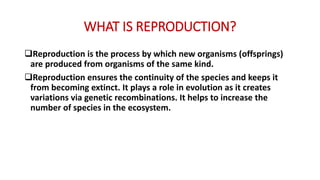 WHAT IS REPRODUCTION?
Reproduction is the process by which new organisms (offsprings)
are produced from organisms of the same kind.
Reproduction ensures the continuity of the species and keeps it
from becoming extinct. It plays a role in evolution as it creates
variations via genetic recombinations. It helps to increase the
number of species in the ecosystem.
 