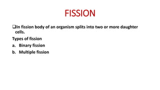 FISSION
In fission body of an organism splits into two or more daughter
cells.
Types of fission
a. Binary fission
b. Multiple fission
 