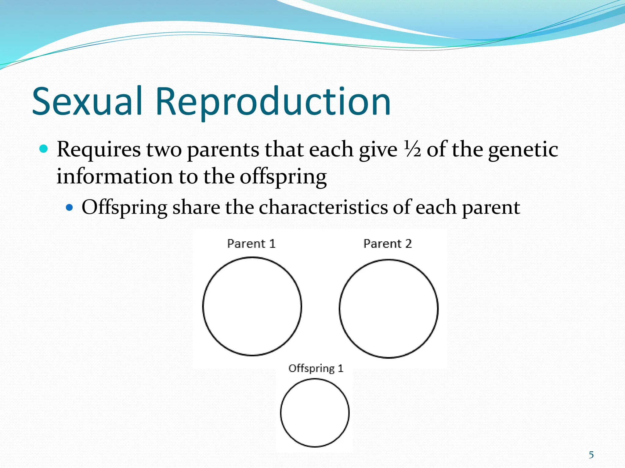 Sexual Reproduction
 Requires two parents that each give ½ of the genetic
information to the offspring
 Offspring share the characteristics of each parent
5
 