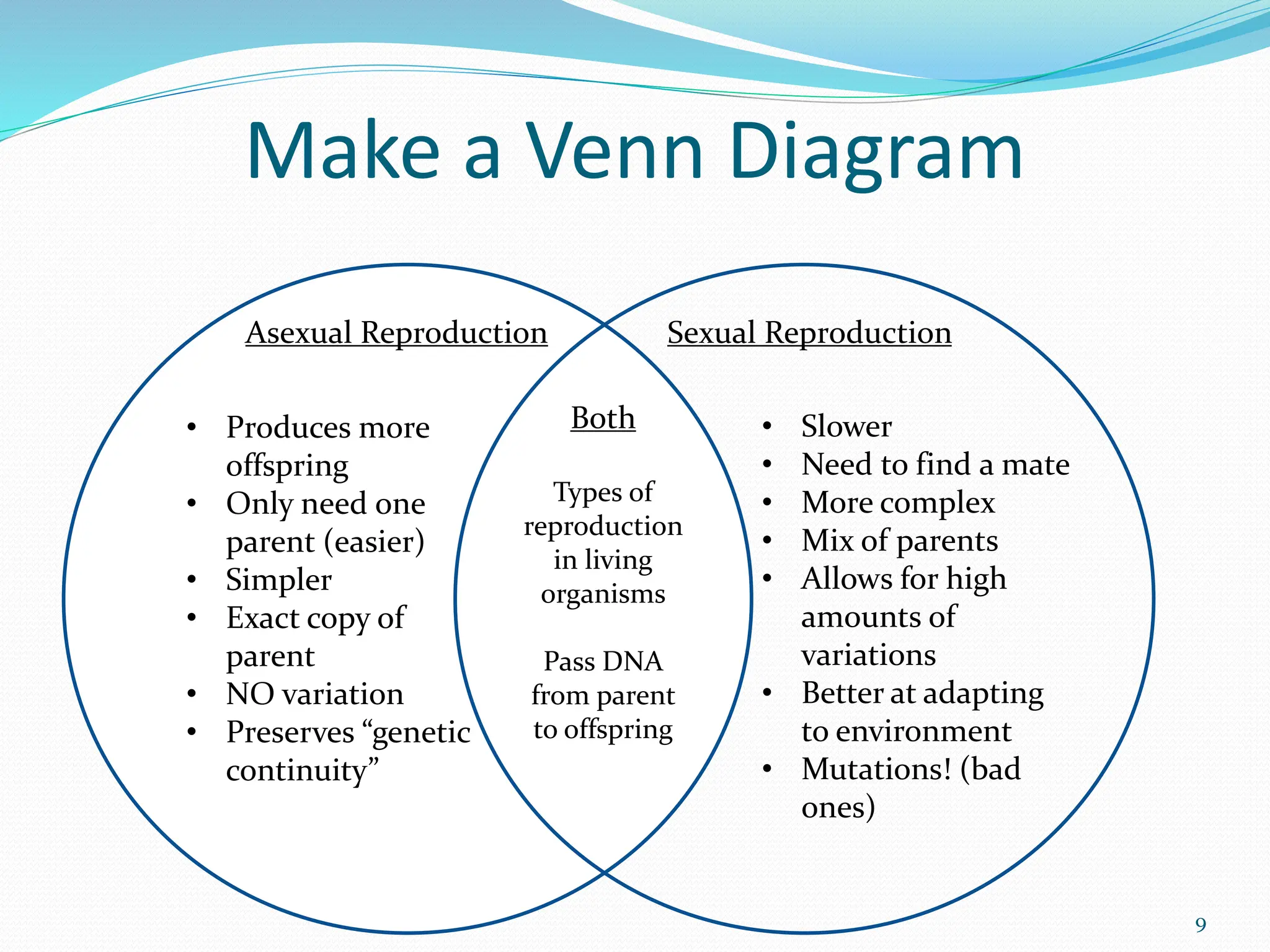 Make a Venn Diagram
9
Asexual Reproduction Sexual Reproduction
Both
Types of
reproduction
in living
organisms
Pass DNA
from parent
to offspring
• Produces more
offspring
• Only need one
parent (easier)
• Simpler
• Exact copy of
parent
• NO variation
• Preserves “genetic
continuity”
• Slower
• Need to find a mate
• More complex
• Mix of parents
• Allows for high
amounts of
variations
• Better at adapting
to environment
• Mutations! (bad
ones)
 